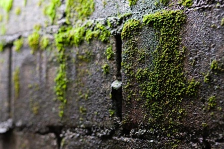 Nettoyage de fa&ccedil;ade &agrave; Cozes, quand et comment proc&eacute;der efficacement